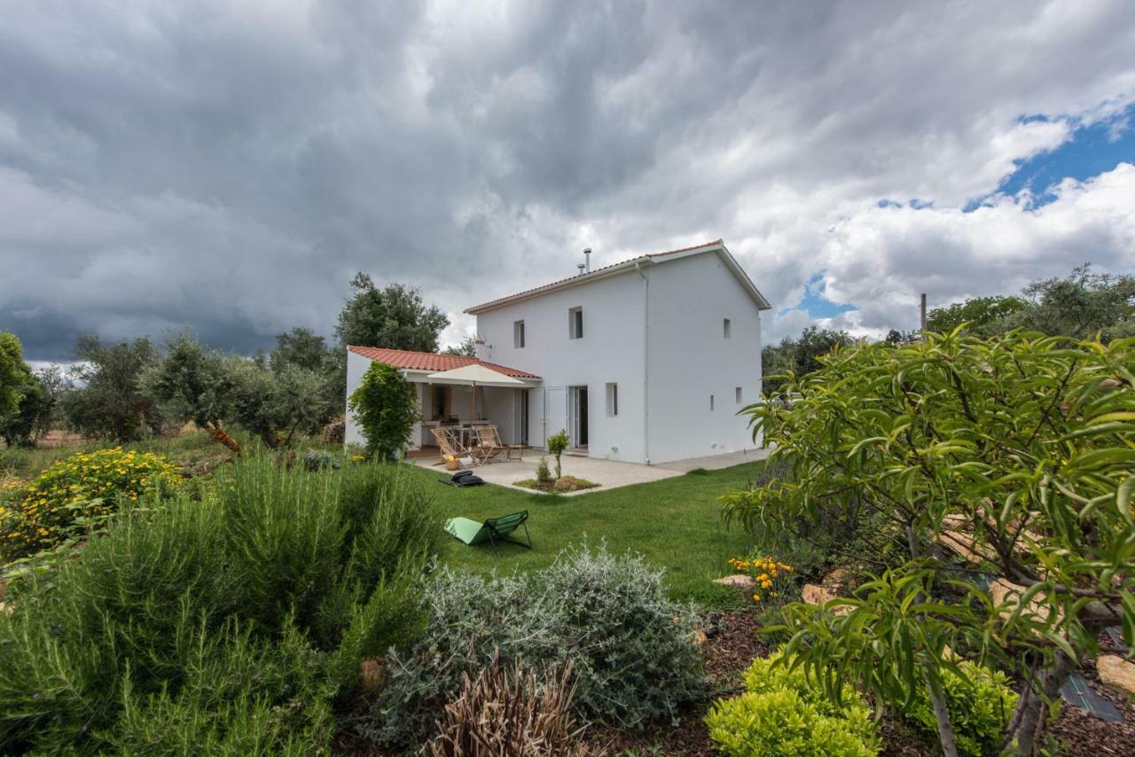 Villa Casa Do Olival Figueiro Dos Vinhos Exterior foto
